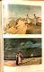 Winslow Homer American Artist: His World and His Work by Albert Ten Eyck Gardner, First Edition