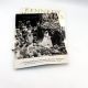 Kennedy Weddings, A Family Album JAY MULVANEY 1999 1st/1st HBDJ PLUS BONUS