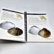A Guide to Missouri’s Freshwater Mussels 2012 spiral bound LIKE NEW