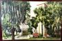 Postcard: The First Presbyterian Church, Fort Lauderdale, Florida - Feb. 9, 1956