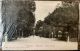 Postcard: Firenze – Cascine – Viale del Re 6886 Garzini’e Pezzinin – Milano – 1904