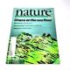 Aug 13 1998 NATURE International Weekly Journal Science GENOMES DNA GENES GENETICS