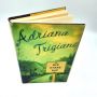 Big Stone Gap a novel by Adriana Trigiani 2000 HBDJ BCE