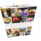 Celebrate A Year of Festivities for Families and Friends by PIPPA MIDDLETON  2012 HBDJ 1st Printing EXCELLENT Condition