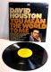 DAVID HOUSTON You Mean the World to Me LP Record Album 24338